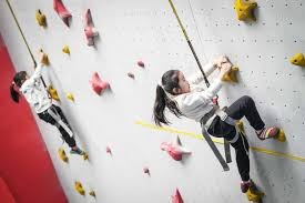 泰山队强势登顶！泽卡受伤，克雷桑进球，主场狂胜大连英博